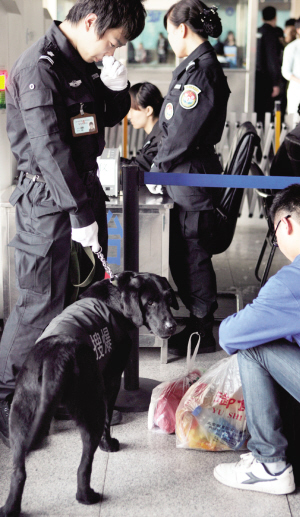 天津火車站安檢門與警犬齊上陣打造高等級(jí)安保體系